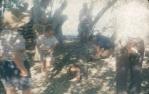 <span class="caption-caption">Crocodile caught near the punt on the Normanton River, trapped by the local police sergeant, Normanton</span>, 1973. <br />Slide, collection of <span class="caption-contributor">John Hindmarsh</span>.