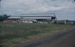 <span class="caption-caption">Pig and calf saleyards, Kingaroy</span>, c1950s. <br />Slide, collection of <span class="caption-contributor">John Thun</span>.