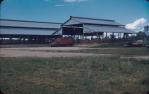 <span class="caption-caption">Saleyards, Kingaroy (since demolished)</span>, c1950s. <br />Slide, collection of <span class="caption-contributor">John Thun</span>.