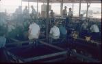 <span class="caption-caption">Sales in progress, Kingaroy</span>, c1950s. <br />Slide, collection of <span class="caption-contributor">John Thun</span>.