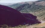 <span class="caption-caption">Barron River gorge, near Cairns</span>, c1960s. <br />Slide, collection of <span class="caption-contributor">John Thun</span>.