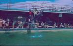 <span class="caption-caption">Jack Evans porpoise pool, Coolangatta</span>, 1966. <br />Slide, collection of <span class="caption-contributor">John Thun</span>.