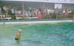 <span class="caption-caption">Jack Evans porpoise pool, Coolangatta</span>, 1966. <br />Slide, collection of <span class="caption-contributor">John Thun</span>.