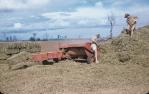 <span class="caption-caption">Baling peanut hay after thrashing from stack, Kingaroy Shire</span>, c1956. <br />Slide, collection of <span class="caption-contributor">John Thun</span>.