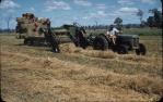 <span class="caption-caption">Baling lucerne hay and stocking on trailer, Kingaroy Shire</span>, 1956. <br />Slide, collection of <span class="caption-contributor">John Thun</span>.