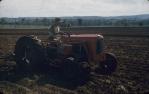 <span class="caption-caption">Planting peanuts, Windera</span>, 1958. <br />Slide, collection of <span class="caption-contributor">John Thun</span>.