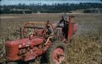 <span class="caption-caption">Harvesting grain sorghum Windera</span>, 1958. <br />Slide, collection of <span class="caption-contributor">John Thun</span>.