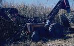 <span class="caption-caption">Early mechanical harvest of sugar-cane, Kingaroy Shire</span>, c1956. <br />Slide, collection of <span class="caption-contributor">John Thun</span>.