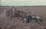 <span class="caption-caption">Havesting sorghum with drag header, Kingaroy Shire</span>, c1956. <br />Slide, collection of <span class="caption-contributor">John Thun</span>.