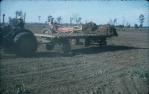 <span class="caption-caption">Loading two stooks (peanut) onto a haul-in wagon, Kingaroy Shire</span>, 1956. <br />Slide, collection of <span class="caption-contributor">John Thun</span>.