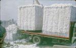 <span class="caption-caption">Cotton bins, Forest Hills</span>, c1963. <br />Slide, collection of <span class="caption-contributor">John Thun</span>.