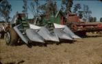 <span class="caption-caption">Auto four row corn harvester, Kingaroy Shire</span>, c1958. <br />Slide, collection of <span class="caption-contributor">John Thun</span>.