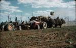 <span class="caption-caption">Stationary peanut thrashing, Kingaroy Shire</span>, c1958. <br />Slide, collection of <span class="caption-contributor">John Thun</span>.