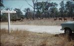 <span class="caption-caption">Princhester Creek,  north Rockhampton, Bruce Highway</span>, c1958. <br />Slide, collection of <span class="caption-contributor">John Thun</span>.