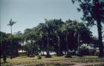 <span class="caption-caption">Gardens, Maryborough</span>, c1958. <br />Slide, collection of <span class="caption-contributor">John Thun</span>.