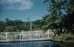 <span class="caption-caption">Gardens, Maryborough</span>, c1958. <br />Slide, collection of <span class="caption-contributor">John Thun</span>.