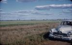 <span class="caption-caption">Wheat field, Jandowae</span>, c1955. <br />Slide, collection of <span class="caption-contributor">John Thun</span>.
