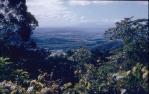 <span class="caption-caption">Murgon District</span>, c1958. <br />Slide, collection of <span class="caption-contributor">John Thun</span>.