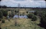 <span class="caption-caption">Melon-holes full of water, Durong</span>, c1955. <br />Slide, collection of <span class="caption-contributor">John Thun</span>.