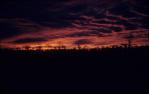 <span class="caption-caption">Sunset in a very wet year, Durong</span>, 1956. <br />Slide, collection of <span class="caption-contributor">John Thun</span>.