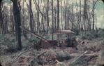 <span class="caption-caption">Pushing ring barked trees to clear ground for cultivation, Durong</span>, c1955. <br />Slide, collection of <span class="caption-contributor">John Thun</span>.