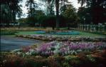 <span class="caption-caption">One of the city parks during the Festival of Flowers, Toowoomba</span>, 1982. <br />Slide, collection of <span class="caption-contributor">John Zwar</span>.