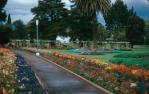 <span class="caption-caption">One of the city parks during the Festival of Flowers, Toowoomba</span>, 1982. <br />Slide, collection of <span class="caption-contributor">John Zwar</span>.