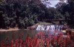 <span class="caption-caption">Malanda Falls swimming area</span>, 1970. <br />Slide, collection of <span class="caption-contributor">John Zwar</span>.