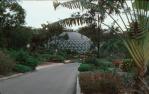 <span class="caption-caption">Tropical house at Mount Coot-tha</span>, 1982. <br />Slide, collection of <span class="caption-contributor">John Zwar</span>.