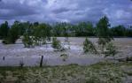 <span class="caption-caption">Selma Weir in flood, Emerald</span>, 1968. <br />Slide, collection of <span class="caption-contributor">Ken Self</span>.