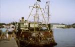<span class="caption-caption">Age Unlimitedin Ross Creek, South Townsville</span>, 1964. <br />Slide, collection of <span class="caption-contributor">Lynne Clancy</span>.