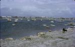 <span class="caption-caption">The boat harbour, Bowen</span>, 1966. <br />Slide, collection of <span class="caption-contributor">Lynne Clancy</span>.