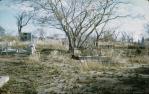 <span class="caption-caption">Cemetery, Ravenswood</span>, 1968. <br />Slide, collection of <span class="caption-contributor">Lynne Clancy</span>.