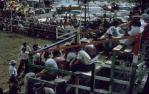 <span class="caption-caption">Rodeo in 'Possum Paddock', north of Townsville</span>, 1973. <br />Slide, collection of <span class="caption-contributor">Lynne Clancy</span>.