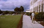 <span class="caption-caption">Looking along Chemistry Building to Union Buildings, University of Queensland, St Lucia</span>, 1964. <br />Slide, collection of <span class="caption-contributor">Lynne Cain</span>.