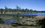 <span class="caption-caption">Mundubberra weir</span>, 1965. <br />Slide, collection of <span class="caption-contributor">Lynne Cain</span>.