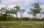 <span class="caption-caption">The Bluff</span>, 1965. <br />Slide, collection of <span class="caption-contributor">Lynne Cain</span>.