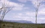 <span class="caption-caption">Bluff</span>, 1965. <br />Slide, collection of <span class="caption-contributor">Lynne Cain</span>.