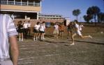 <span class="caption-caption">Youth week sports, Charleville high school</span>, 1964. <br />Slide, collection of <span class="caption-contributor">Lynne Cain</span>.