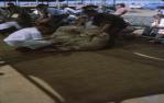 <span class="caption-caption">Sheep judging at Charleville show</span>, 1964. <br />Slide, collection of <span class="caption-contributor">Lynne Cain</span>.