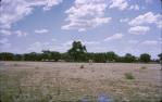 <span class="caption-caption">Cricket pitch, Charleville</span>, 1964. <br />Slide, collection of <span class="caption-contributor">Lynne Cain</span>.