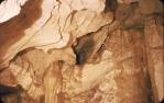 <span class="caption-caption">Cathedral Cave Roof, Olsen Caves, Rockhampton region</span>, 1965. <br />Slide, collection of <span class="caption-contributor">Lynne Cain</span>.