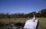 <span class="caption-caption">Improved pasture, Tewantin</span>, 1968. <br />Slide, collection of <span class="caption-contributor">Lynne Cain</span>.
