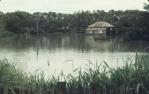 <span class="caption-caption">A flood 'lake' in Woondooma Street, Bundaberg</span>, 1971. <br />Slide, collection of <span class="caption-contributor">Malcolm McCracken</span>.