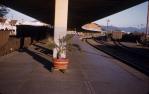 <span class="caption-caption">Cairns railway station platform</span>, 1960. <br />Slide, collection of <span class="caption-contributor">Oswald  Endacott</span>.