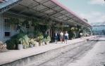 <span class="caption-caption">Kuranda railway station platform</span>, 1960. <br />Slide, collection of <span class="caption-contributor">Oswald  Endacott</span>.