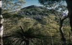 <span class="caption-caption">Mount Cordeaux from walking track at Cunningham's Gap</span>, 1958. <br />Slide, collection of <span class="caption-contributor">Oswald  Endacott</span>.