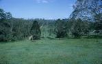 <span class="caption-caption">Rural farmland, Pullenvale</span>, 1966. <br />Slide, collection of <span class="caption-contributor">Patrick Conaghan</span>.