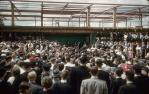 <span class="caption-caption">Students’ Union Building, University of Queensland, St Lucia, visit by Princess Alexandra</span>, 1959. <br />Slide, collection of <span class="caption-contributor">Patrick Conaghan</span>.