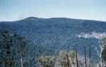 <span class="caption-caption">University of Queensland Bushwalking Club (UQBWC) Mt Superbus, Scenic Rim</span>, 1958. <br />Slide, collection of <span class="caption-contributor">Patrick Conaghan</span>.